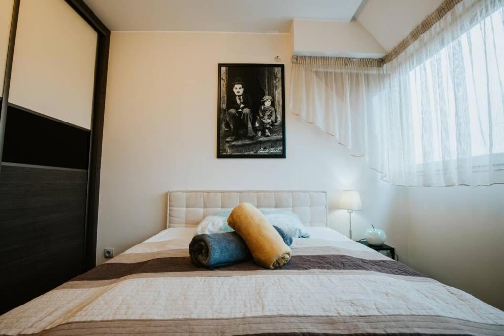 Nyugalom A Belvarosban Szeged Extérieur photo